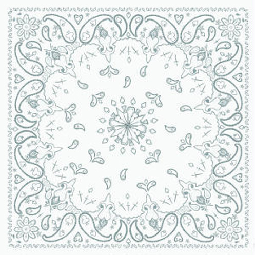 Paisley White, Bandanna